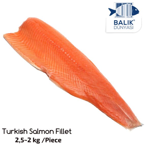 SALMON FILET Turkish