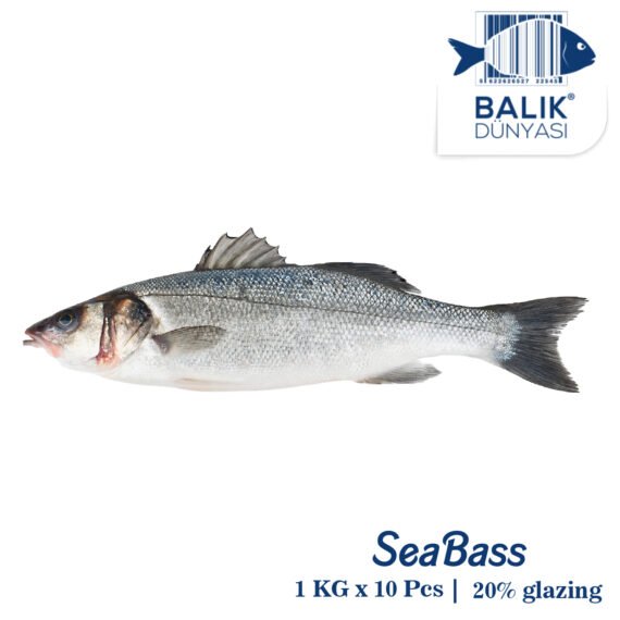 Seabass Turkey