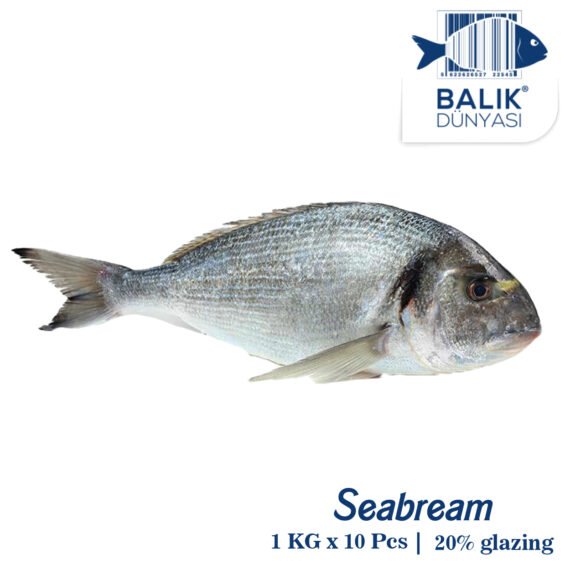 Seabream Turkey